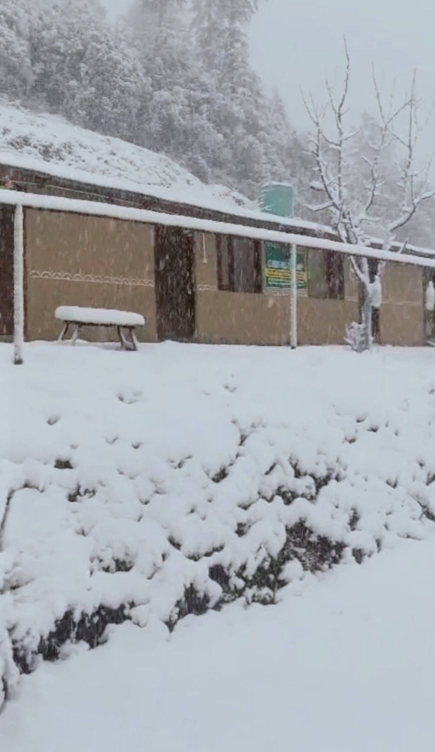 Snow-Fall