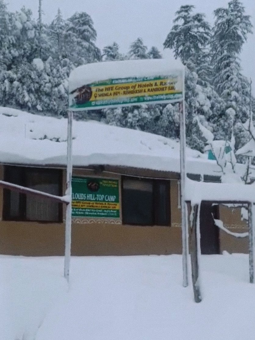 Snow Fall