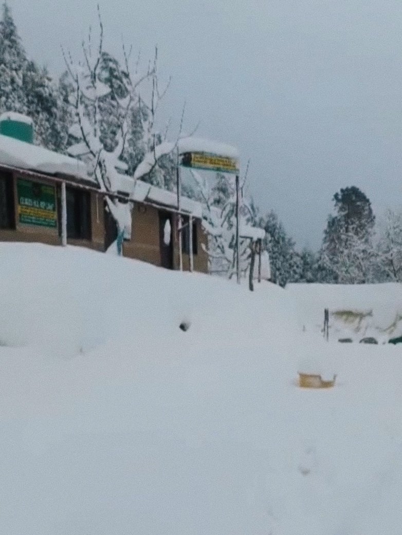 Snow