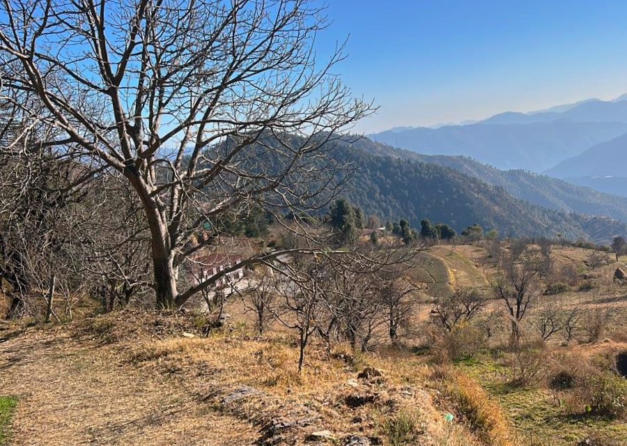 Valley View